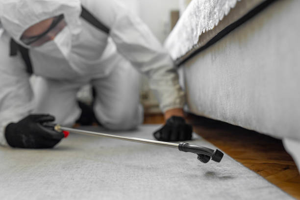 Professional Bed Bug Control technician working in South Lakes, AK